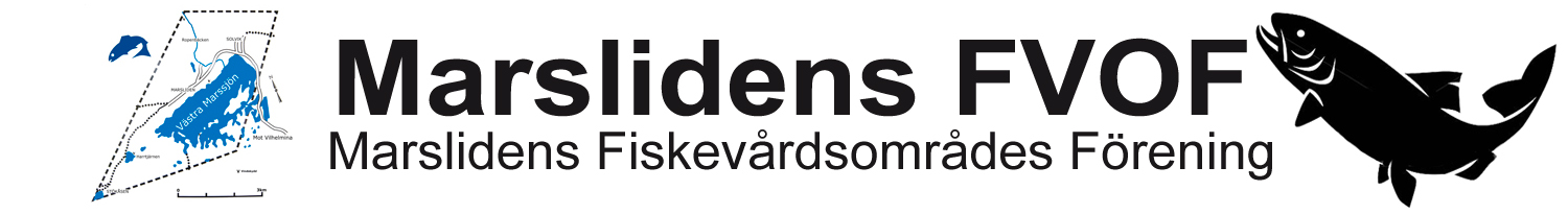 MarslidensFVO Logo